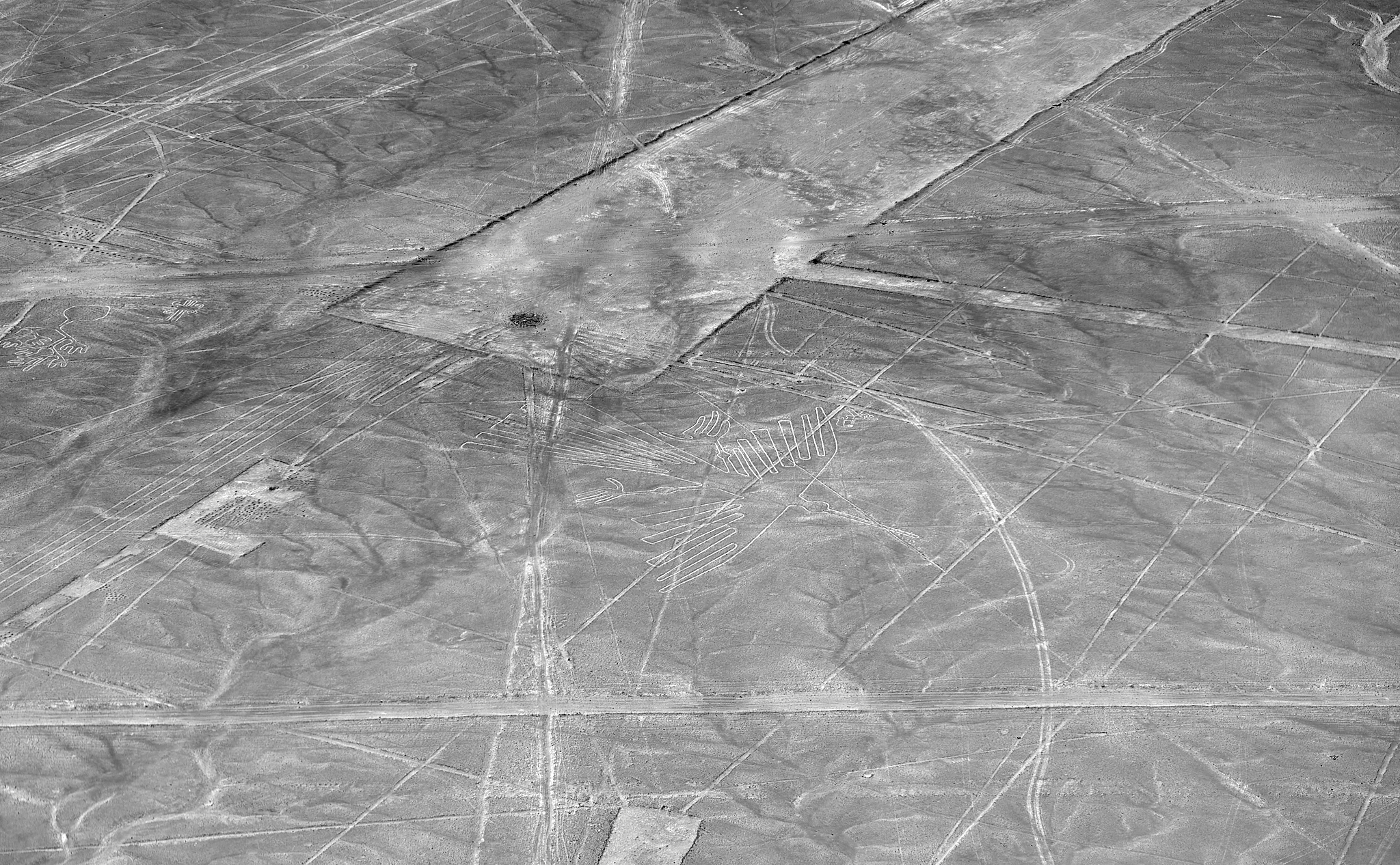 20200305 268 [페루] 나스카 라인